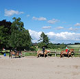 reiten-pferde-ponys-reiturlaub